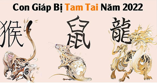 Hạn Tam Tai khiến các tuổi Thân - Tý - Thìn rơi vào cảnh khốn đốn, trắc trở, vất vả, đặc biệt là khi cả vợ chồng cùng nằm trong nhóm Tam Hợp tuổi nói trên vì đôi bên đều phải mệt mỏi cùng lúc. 