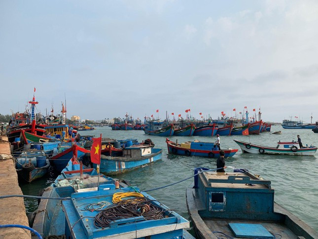 Gia dau tang cao, ngu dan nam bo-Hinh-2