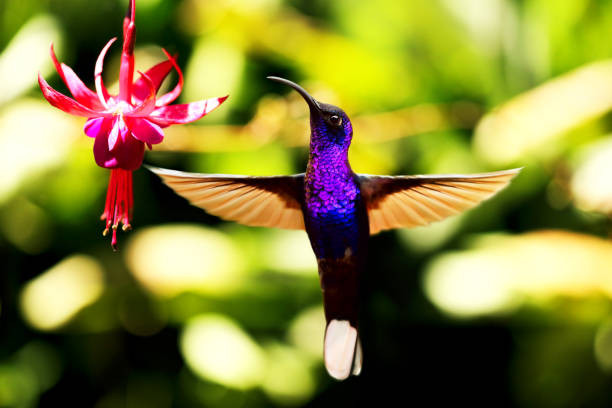 Nguoi sinh vao 4 ngay Am lich nay ca doi thanh nhan, sung suong-Hinh-2