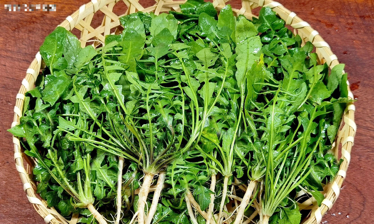 Loại rau dại được ca ngợi là “cỏ tiên” dưỡng nhan, giảm mỡ máu - Hình 3 Loai rau dai duoc ca ngoi la “co tien” duong nhan, giam mo mau-Hinh-3