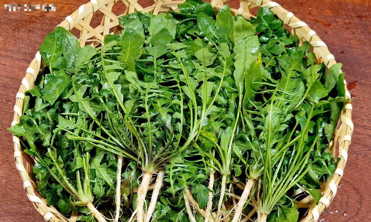 Loai rau dai duoc ca ngoi la “co tien” duong nhan, giam mo mau-Hinh-3