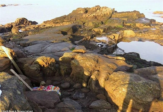 Bi an khuon mat ngo ngac cua chu hai cau con qua khe da-Hinh-2