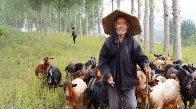 Nhặt được viên đá xanh, ném vào xó nhà, ai ngờ là ngọc giá trị Nhat duoc vien da xanh, nem vao xo nha, ai ngo la ngoc gia tri