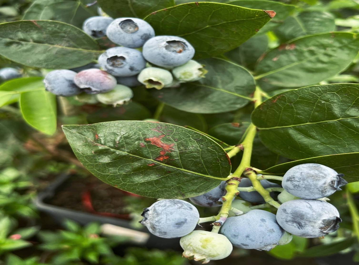 Doi vo chong 9x ho bien manh dat bo trong thanh can nha co tich-Hinh-9