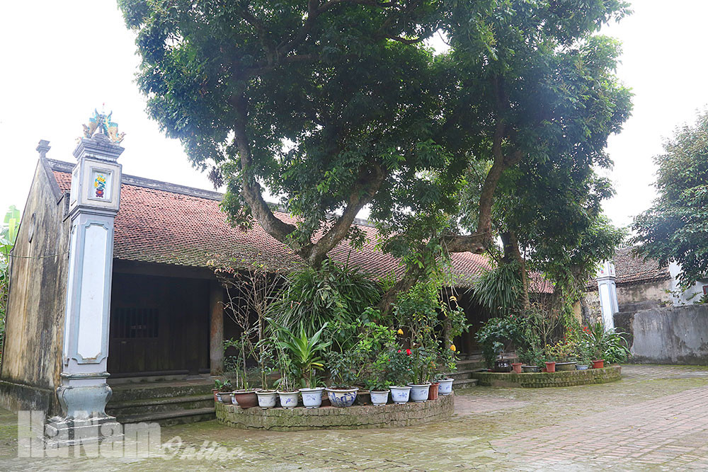 Tổ ngoại của Tam Nguyên Yên Đổ Nguyễn Khuyến: Từng đỗ Đệ nhị giáp Tiến sĩ To ngoai cua Tam Nguyen Yen Do Nguyen Khuyen: Tung do De nhi giap Tien si