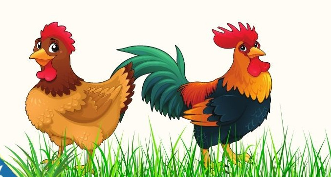 Tuổi Dậu cần phải nhớ rằng, trong hành trình chinh phục đỉnh cao của sự nghiệp, sự kiên nhẫn và bền bỉ là chìa khóa vàng. Họ không chỉ cần phải duy trì ước mơ của mình mà còn phải xác định đúng đắn hướng đi trong từng quyết định để không bị dao động bởi những cám dỗ hay thất bại nhất thời.