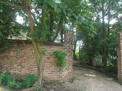 Ngôi nhà xảy ra sự việc.