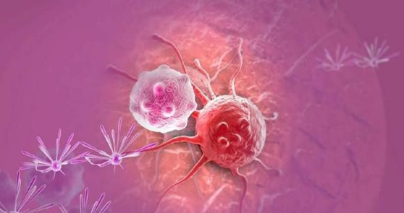 6 thoi quen an uong co the dang “nuoi” te bao ung thu