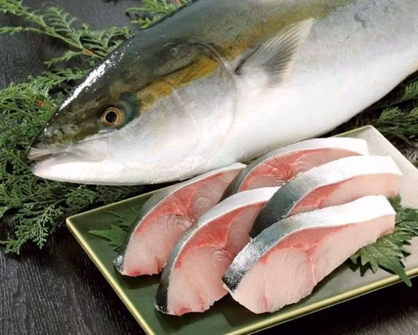 Cá Buri thường được làm thành sashimi để thưởng thức. Ở Nhật, có một số loại cá sẽ được người Nhật sử dụng những cái tên khác nhau theo từng giai đoạn phát triển gọi là cá “shusse-uo”, cá Buri nằm trong số chúng. Từ “shusse-uo” có sử dụng các chữ giống như từ “shusse” trong tiếng Nhật có nghĩa là “thành công”. Do đó, cá Buri tượng trưng cho sự tăng trưởng, phát triển và thăng tiến.
