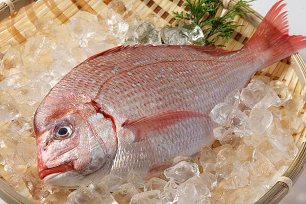 Cá: Có hai loại cá thường được sử dụng nhiều nhất trong hộp cơm Osechi đó chính là cá Tai (cá tráp biển) và cá Buri (cá hổ phách đuôi vàng Nhật Bản). Cá Tai thường được ăn trong các bữa tiệc ăn mừng ở Nhật Bản bắt nguồn từ một cách chơi chữ với từ medetai, có nghĩa là “ăn mừng”. Chúng thường được cắt thành dải hoặc để nguyên con và nướng lên.