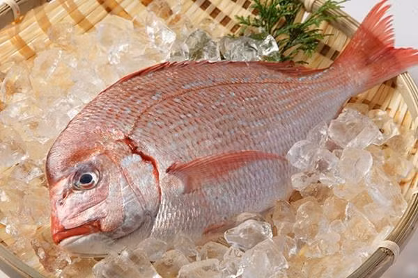 Cá: Có hai loại cá thường được sử dụng nhiều nhất trong hộp cơm Osechi đó chính là cá Tai (cá tráp biển) và cá Buri (cá hổ phách đuôi vàng Nhật Bản). Cá Tai thường được ăn trong các bữa tiệc ăn mừng ở Nhật Bản bắt nguồn từ một cách chơi chữ với từ medetai, có nghĩa là “ăn mừng”. Chúng thường được cắt thành dải hoặc để nguyên con và nướng lên.