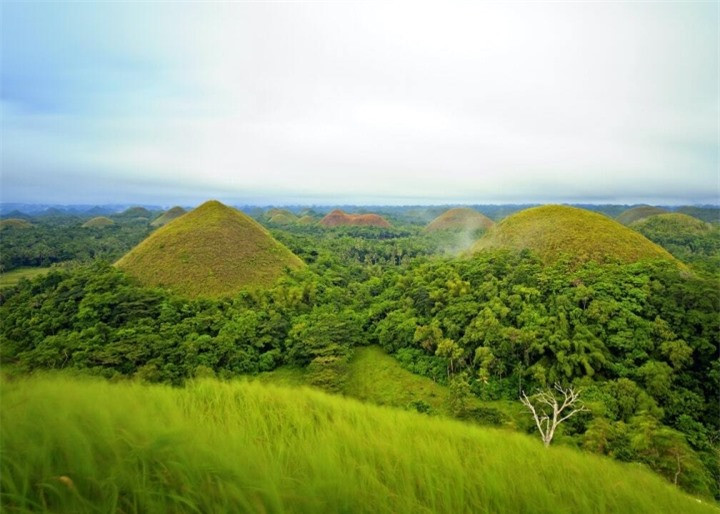 Tuy nhiên, theo các nhà địa chất học thì những ngọn đồi chocolate thực ra được tạo thành do sự phong hóa của đá vôi. Những ngọn đồi này từng là lớp đá trầm tích nổi lên từ mặt biển trong một quá trình vận động địa chất. Ngoài ra, hình nón của những ngọn đồi này còn được tạo thành nhờ gió cùng sự xói mòn theo thời gian.