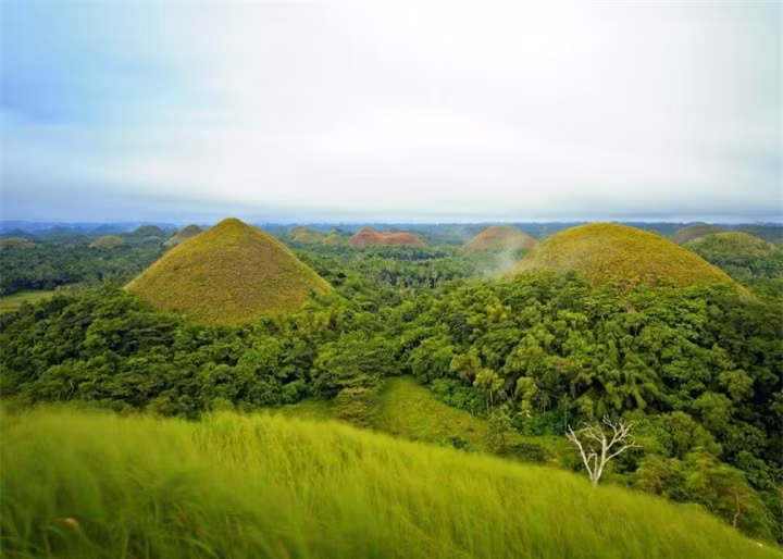 Tuy nhiên, theo các nhà địa chất học thì những ngọn đồi chocolate thực ra được tạo thành do sự phong hóa của đá vôi. Những ngọn đồi này từng là lớp đá trầm tích nổi lên từ mặt biển trong một quá trình vận động địa chất. Ngoài ra, hình nón của những ngọn đồi này còn được tạo thành nhờ gió cùng sự xói mòn theo thời gian.