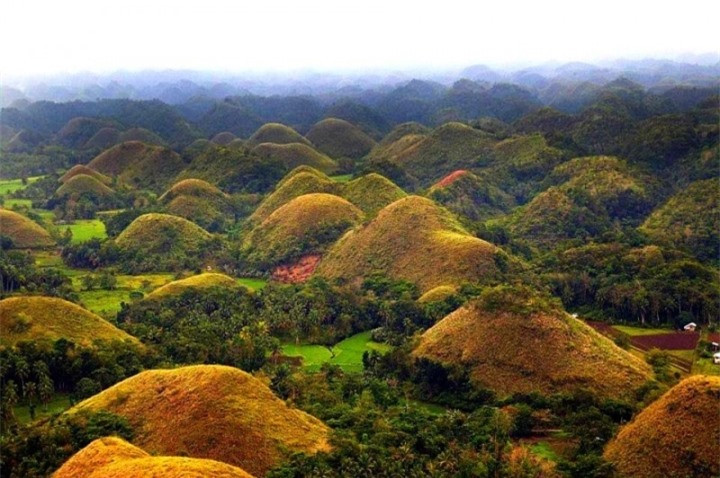 Thực tế, Chocolate Hills gồm những ngọn đồi đặc biệt, phủ cỏ xanh quanh năm, nhưng đến mùa khô, lớp cỏ xanh khô lại, biến thành màu nâu tựa như chocolate. Nơi đây có khoảng 1.260 đến 1.776 ngọn đồi hình nón cao trung bình khoảng từ 30 – 50m, tuy nhiên cũng có một số cao đến 120m nằm trải dài trên diện tích 50km2. Và điều kỳ lạ là, màu sắc của tất cả các ngọn đồi ở đây vào tất các các mùa đều giống hệt nhau, đổi màu như nhau theo các tháng trong năm.