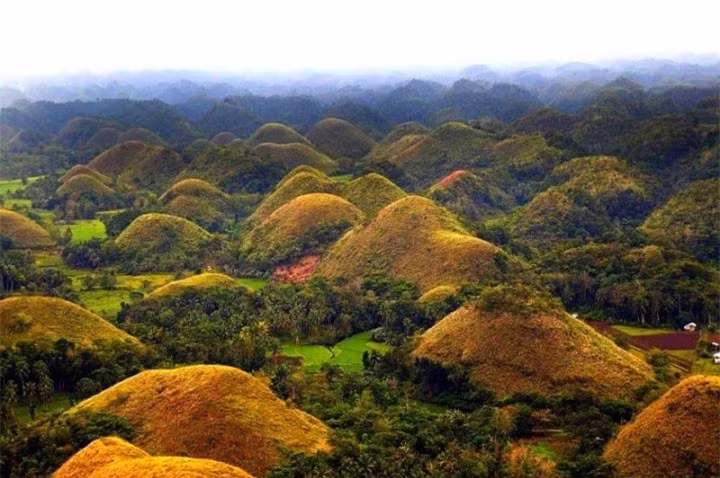Thực tế, Chocolate Hills gồm những ngọn đồi đặc biệt, phủ cỏ xanh quanh năm, nhưng đến mùa khô, lớp cỏ xanh khô lại, biến thành màu nâu tựa như chocolate. Nơi đây có khoảng 1.260 đến 1.776 ngọn đồi hình nón cao trung bình khoảng từ 30 – 50m, tuy nhiên cũng có một số cao đến 120m nằm trải dài trên diện tích 50km2. Và điều kỳ lạ là, màu sắc của tất cả các ngọn đồi ở đây vào tất các các mùa đều giống hệt nhau, đổi màu như nhau theo các tháng trong năm.