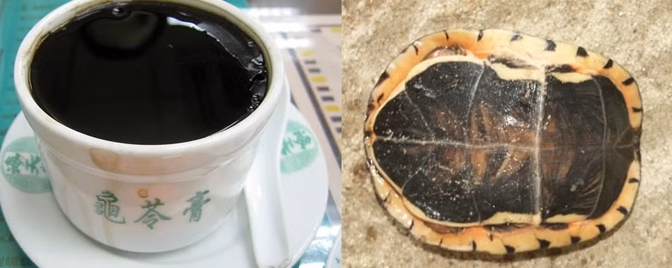 Thạch mai rùa: Thạch rùa hay còn được gọi là guilinggao, là một món tráng miệng ở Trung Quốc. Theo truyền thống, nó được làm từ nhiều loại mai rùa khác nhau cùng một số sản phẩm thảo dược. Tùy vào loại rùa mà giá thạch rùa khác nhau. Món ăn này cũng được sử dụng như một phương thuốc bổ ở Trung Quốc, giúp phát triển cơ bắp và phục hồi các chức năng của thận.