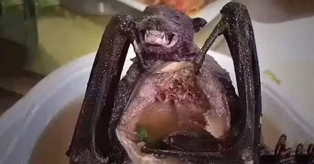 Súp dơi: Không thể thiếu trong danh sách này chính là món súp dơi. Bát súp gồm một con dơi được đun với nước luộc gà. Dơi được ăn cùng với nội tạng cùng với lông và màng của cánh dơi. Súp dơi khá ngon, nhưng thật đáng sợ khi thử món ăn này. Loài dơi cũng có khả năng mang một số bệnh truyền nhiễm cho con người.