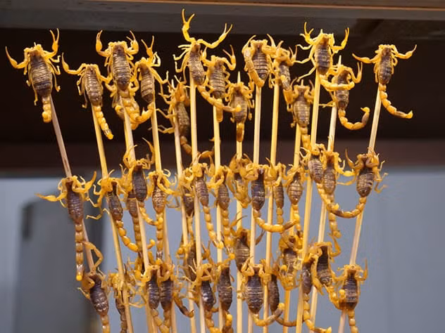 Bọ cạp: Bọ cạp chiên là món ăn vặt đường phố nổi tiếng ở Trung Quốc. Món ăn độc, lạ này rất thu hút khách du lịch. Vì bọ cạp mỏng, nên chúng rất giòn và thơm ngon. Người ta tin rằng ăn bọ cạp có thể chữa được rất nhiều bệnh.