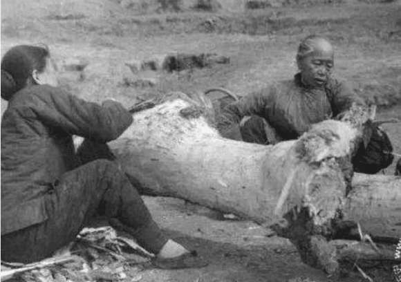 Lý do người xưa thường ăn cỏ và vỏ cây khi nạn đói Ly do nguoi xua thuong an co va vo cay khi nan doi