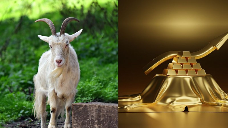  Con giáp may mắn hái vàng hái bạc đúng dịp nghỉ lễ 30/4 – 1/5: Tuổi Mùi: Những người sinh năm Mùi là những người trung thành, tốt bụng và ngay thẳng. Vận may trong sự nghiệp của họ sẽ dần cải thiện trong cuối tháng 4 đầu tháng 5, đặc biệt là trong kỳ nghỉ lễ và có thể đạt được kết quả khả quan trong công việc. 