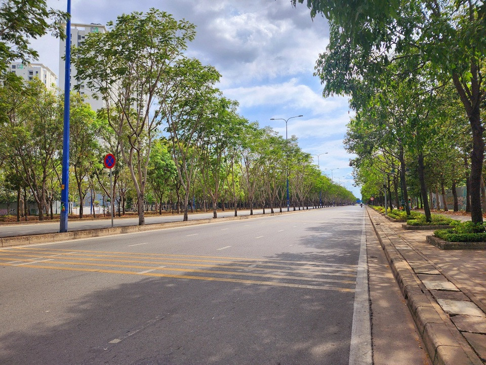 Cac tuyen duong hoa no ruc ro o TP.HCM-Hinh-4