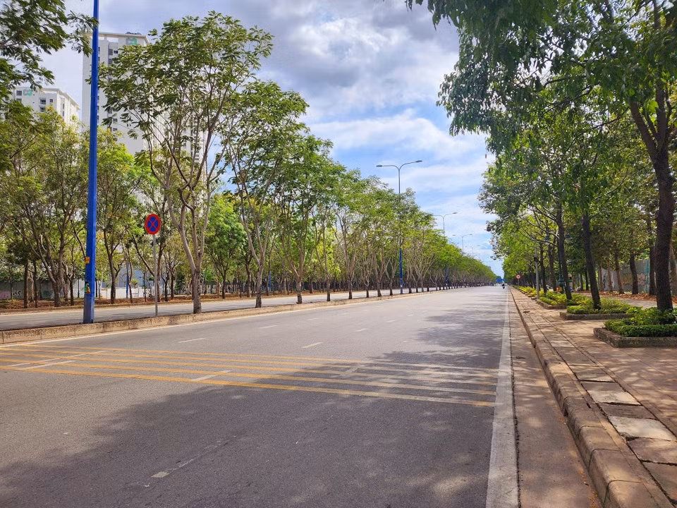 Cac tuyen duong hoa no ruc ro o TP.HCM-Hinh-4