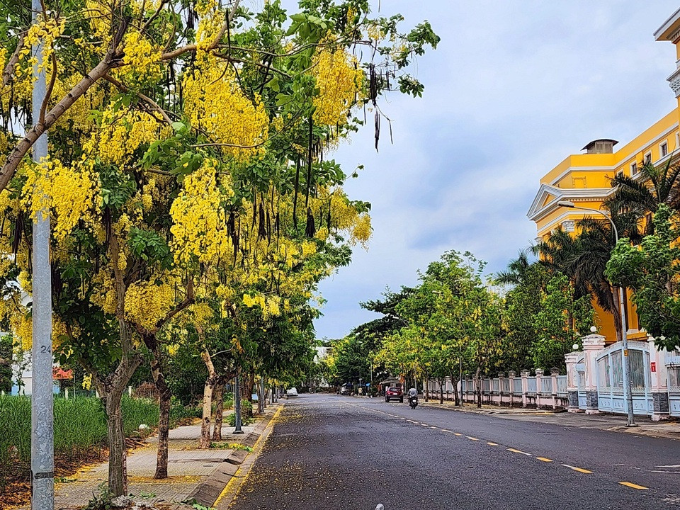 Cac tuyen duong hoa no ruc ro o TP.HCM-Hinh-5
