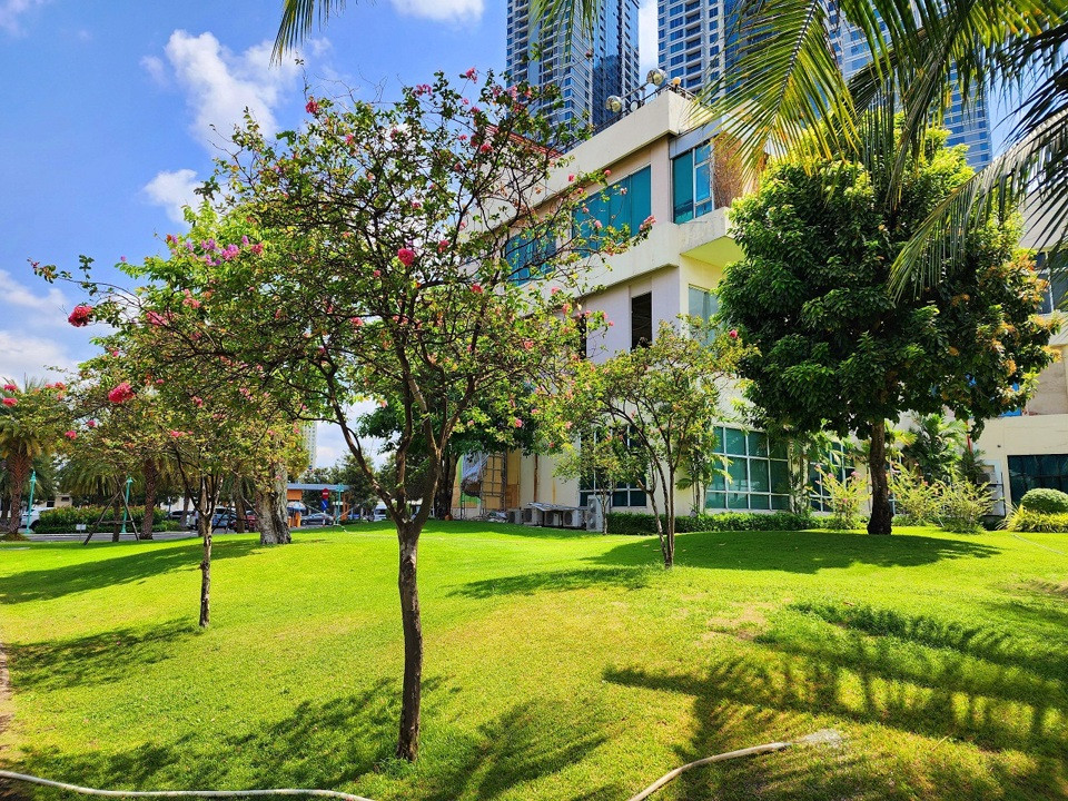 Cac tuyen duong hoa no ruc ro o TP.HCM-Hinh-8