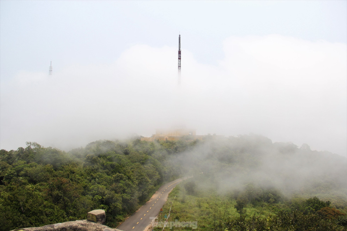 Du khach keo nhau len dinh Ban Co ngam Da Nang-Hinh-3
