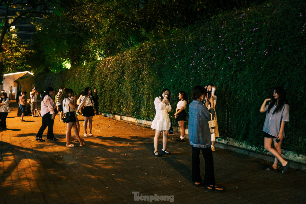 Những ngày gần đây, bức tường với giàn hoa ngũ sắc trên phố Miếu Đầm (quận Nam Từ Liêm, Hà Nội) đang trở thành điểm thu hút người dân Thủ đô đến chiêm ngưỡng, chụp ảnh, đặc biệt là lúc nửa đêm.