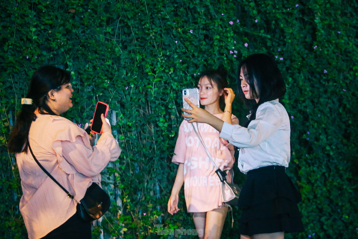 Mọi người đến đây đều cho rằng, khi chụp dưới trời tối kết hợp cùng ánh đèn flash, đằng sau là phông nền màu tím của hoa và màu xanh của lá sẽ cho ra màu sắc huyền bí, rực rỡ hơn.