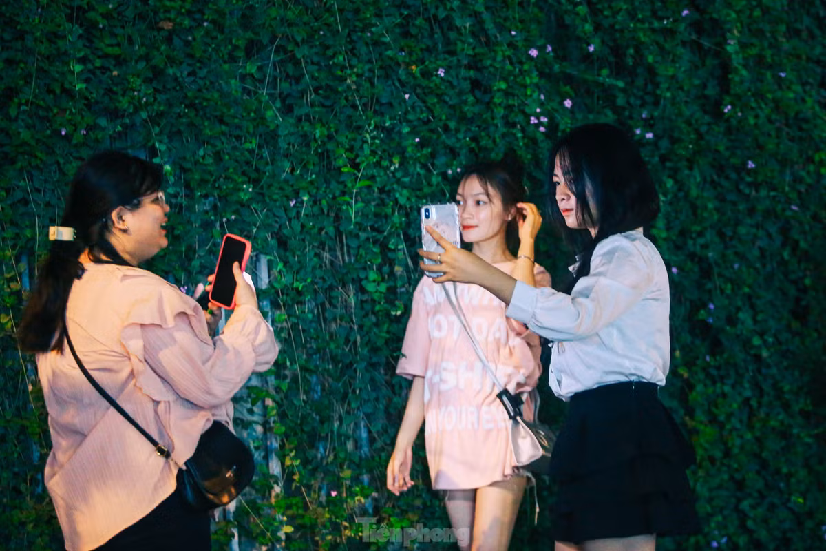 Mọi người đến đây đều cho rằng, khi chụp dưới trời tối kết hợp cùng ánh đèn flash, đằng sau là phông nền màu tím của hoa và màu xanh của lá sẽ cho ra màu sắc huyền bí, rực rỡ hơn.