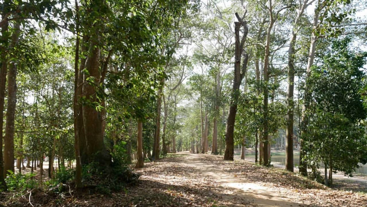 Thanh pho tai Viet Nam lot top 3 “trong lanh” nhat Dong Nam A-Hinh-3