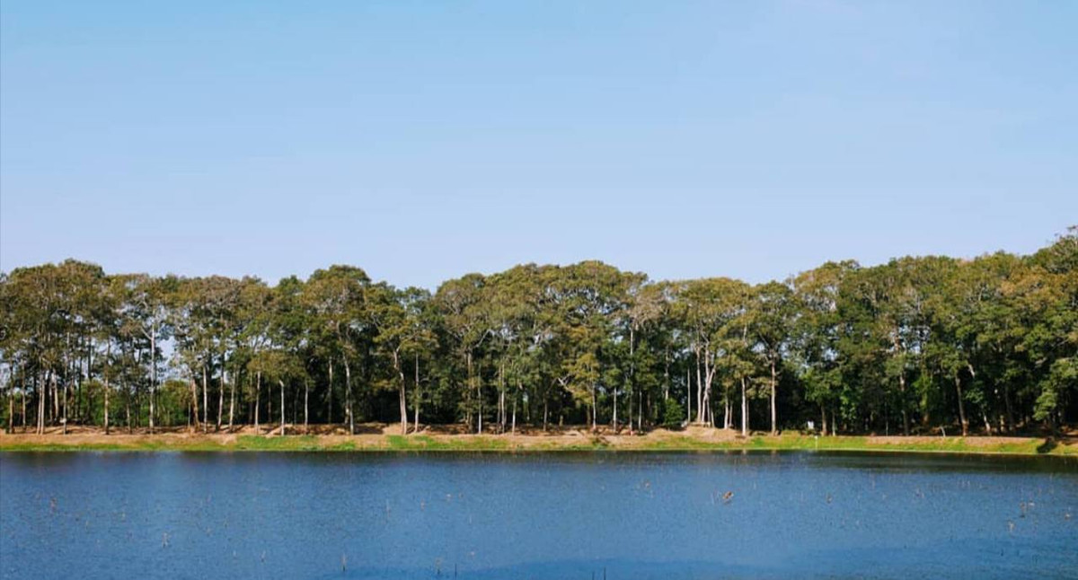 Thanh pho tai Viet Nam lot top 3 “trong lanh” nhat Dong Nam A-Hinh-16