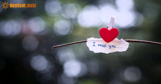 Thang 5/2024, Su Tu bao thu, Ma Ket on dinh-Hinh-3