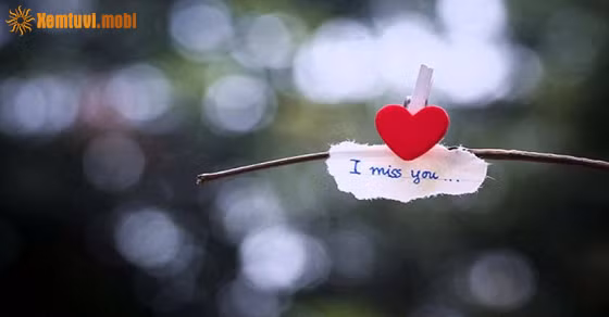 Thang 5/2024, Su Tu bao thu, Ma Ket on dinh-Hinh-3