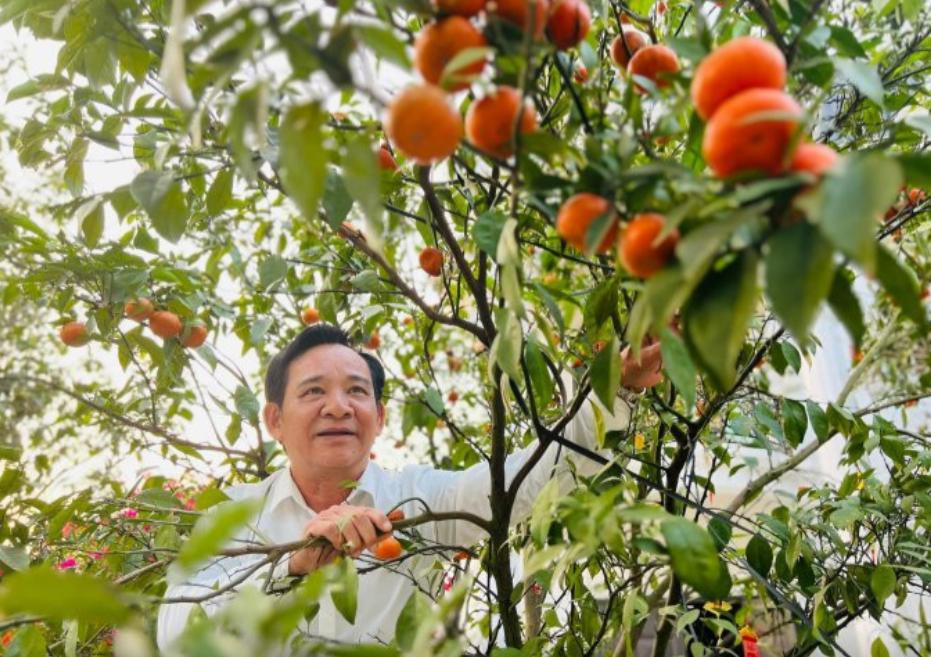 Doi tu it ai biet NSUT Quang Teo-Hinh-7