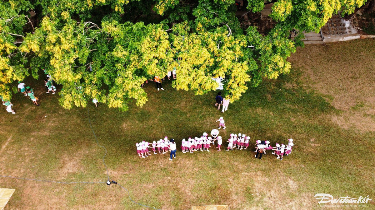 Tam Ky ruc ro mua hoa sua sac vang-Hinh-8