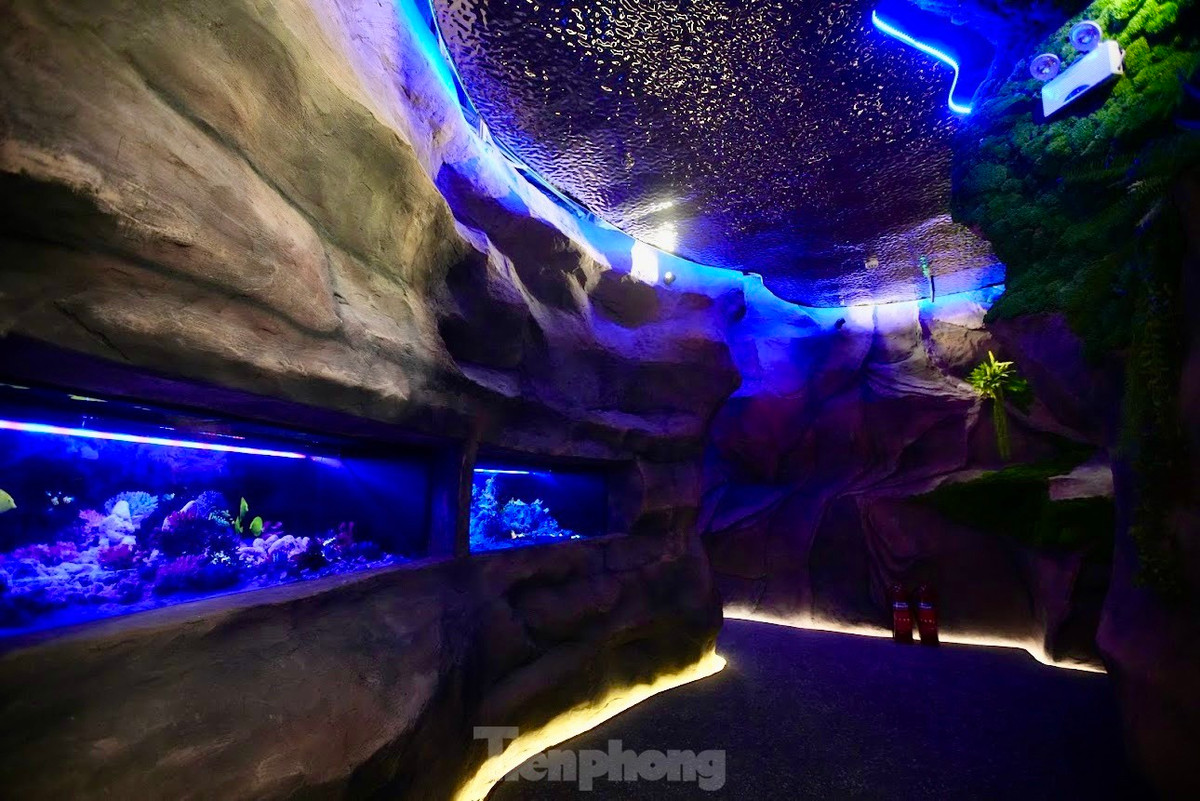 Man nhan voi 'thuy cung khong nuoc' tai Ha Noi