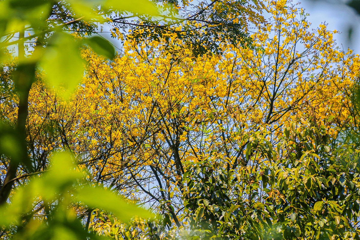 Theo những nhiếp ảnh gia, ngoài việc săn những bức hình đẹp về các loài động thực vật như Voọc, chim, hoa cỏ… việc đến đây giúp họ thư giãn, hít thở không khí trong lành trên cao sau những giờ làm việc mệt mỏi.