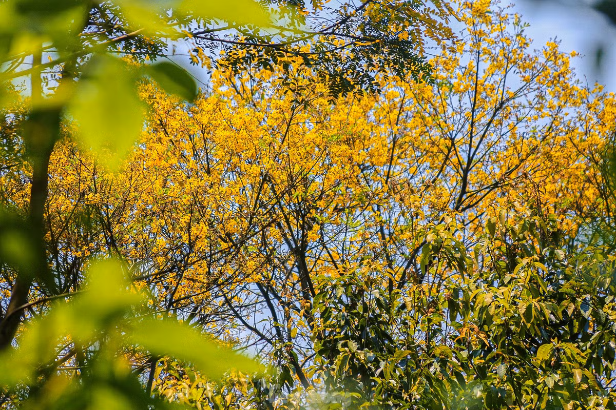 Theo những nhiếp ảnh gia, ngoài việc săn những bức hình đẹp về các loài động thực vật như Voọc, chim, hoa cỏ… việc đến đây giúp họ thư giãn, hít thở không khí trong lành trên cao sau những giờ làm việc mệt mỏi.