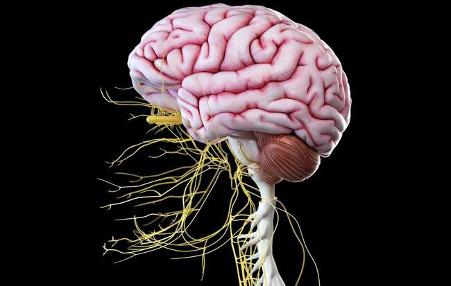 Ghep toan bo nao nguoi co kha thi, bat tu?-Hinh-5