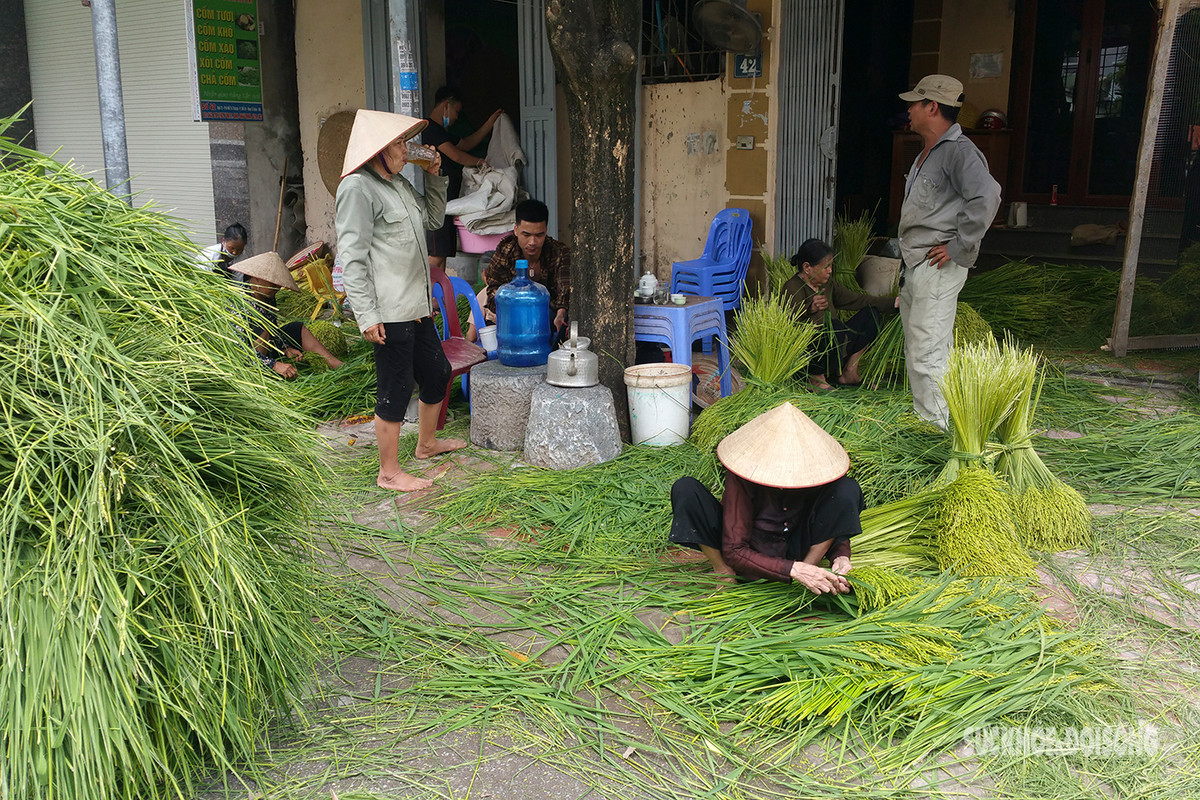 Vao lang Me Tri xem nguoi dan “luyen” com, nghe tieng chay tham thinh-Hinh-2