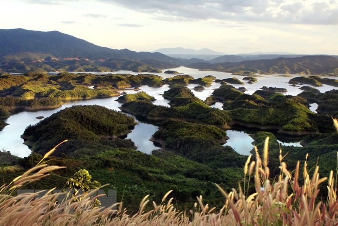 Vuon Quoc gia Ta Dung - canh quan me hoac giua dai ngan Tay Nguyen-Hinh-6