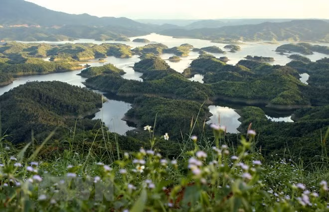 Vuon Quoc gia Ta Dung - canh quan me hoac giua dai ngan Tay Nguyen-Hinh-4