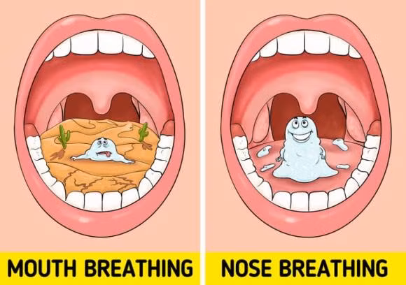 5 dieu ban nen lam moi ngay de hoi tho thom mat-Hinh-3