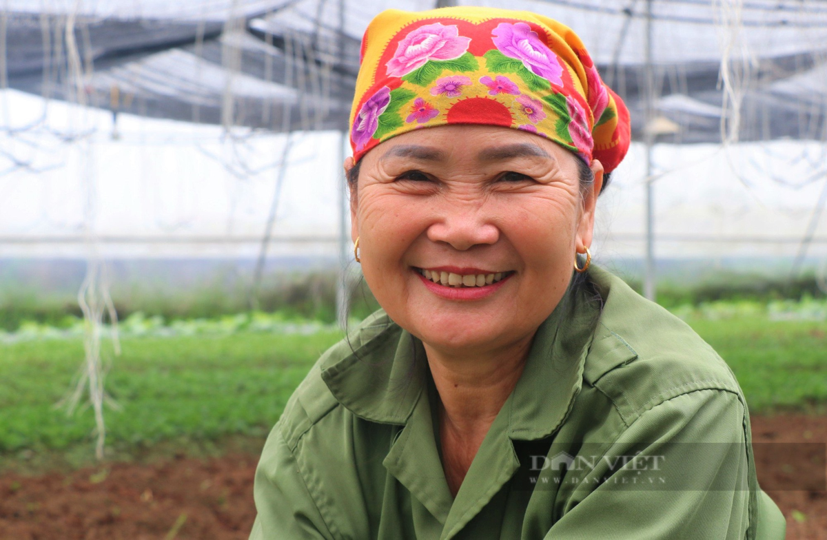 Vuon rau dep nhu phim voi du loai cu, qua tuoi ngon o Nghe An-Hinh-4