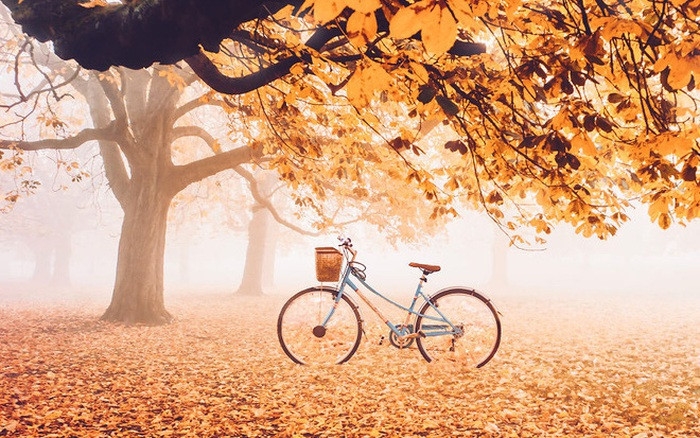 Cuộc sống luôn là vậy, từng bước nhỏ có thể đạt được nhiều bước phát triển mới. Mọi người không nên bỏ qua bất cứ chi tiết nào trong cuộc đời, bởi biết đâu việc nắm bắt đúng hướng có thể tạo nên sự thay đổi lớn trong vận mệnh của con người.