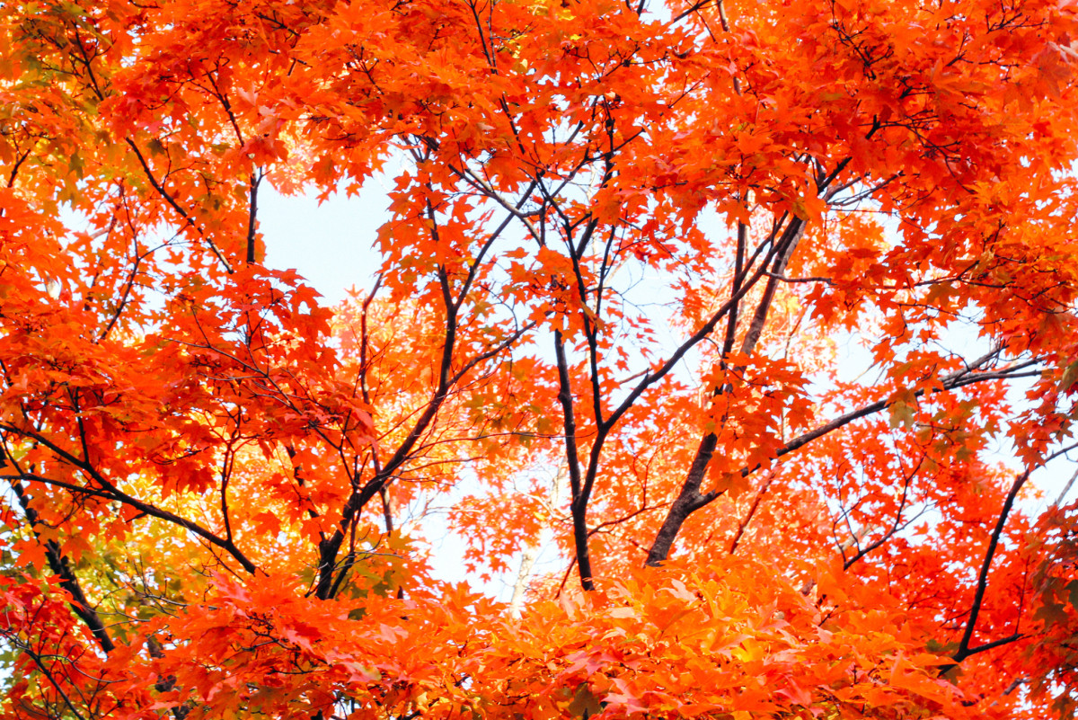 Trong quá trình nỗ lực phấn đấu, mỗi bước trưởng thành cũng là điều rất đáng trân trọng. Năm 2023 đã đến giai đoạn chạy nước rút để về đích và năm 2024 đang đợi bạn ở tương lai gần.