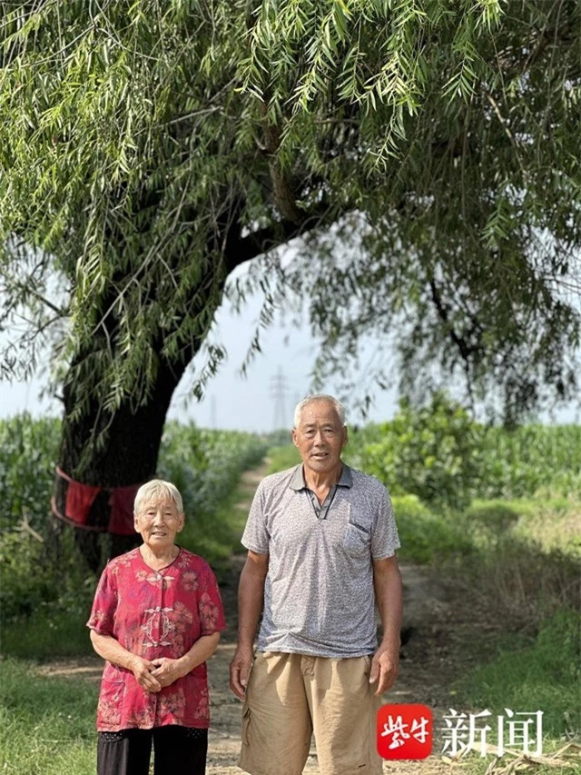 Cây cổ thụ hàng trăm năm tuổi được 5 thế hệ người dân bảo vệ ảnh 2